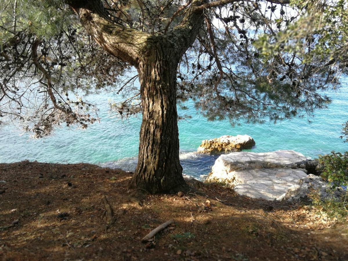 App Roko 2 Poreč Exterior foto